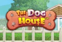 The Dog House Slot Review